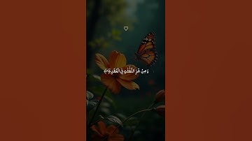 Surat Al-Falaq (The Daybreak) | Mishary Rashid Alafasy | مشاري بن راشد العفاسي | سورة الفلق