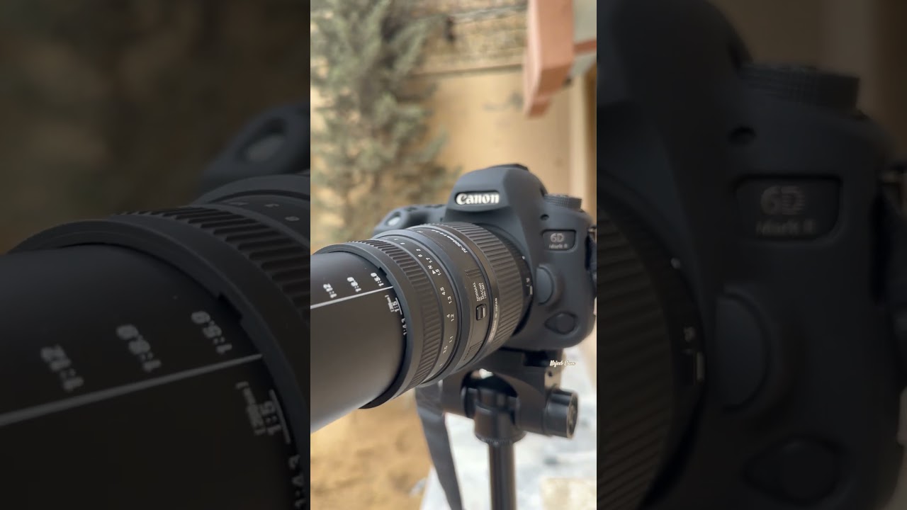 Canon 6D Mark II | how's it? 