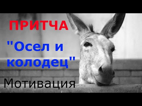 Притча - Осел и Колодец