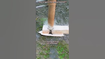 “The science of starting a fire with wood—without matches, without a lighter!” 🌲🔥🚒#jaidmeel #shorts