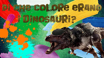 Chi sono i faraoni neri?