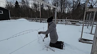 Winter Gardening Prep | Starting Sweet Potato Slips, Grapevine Pruning & Seed Planning
