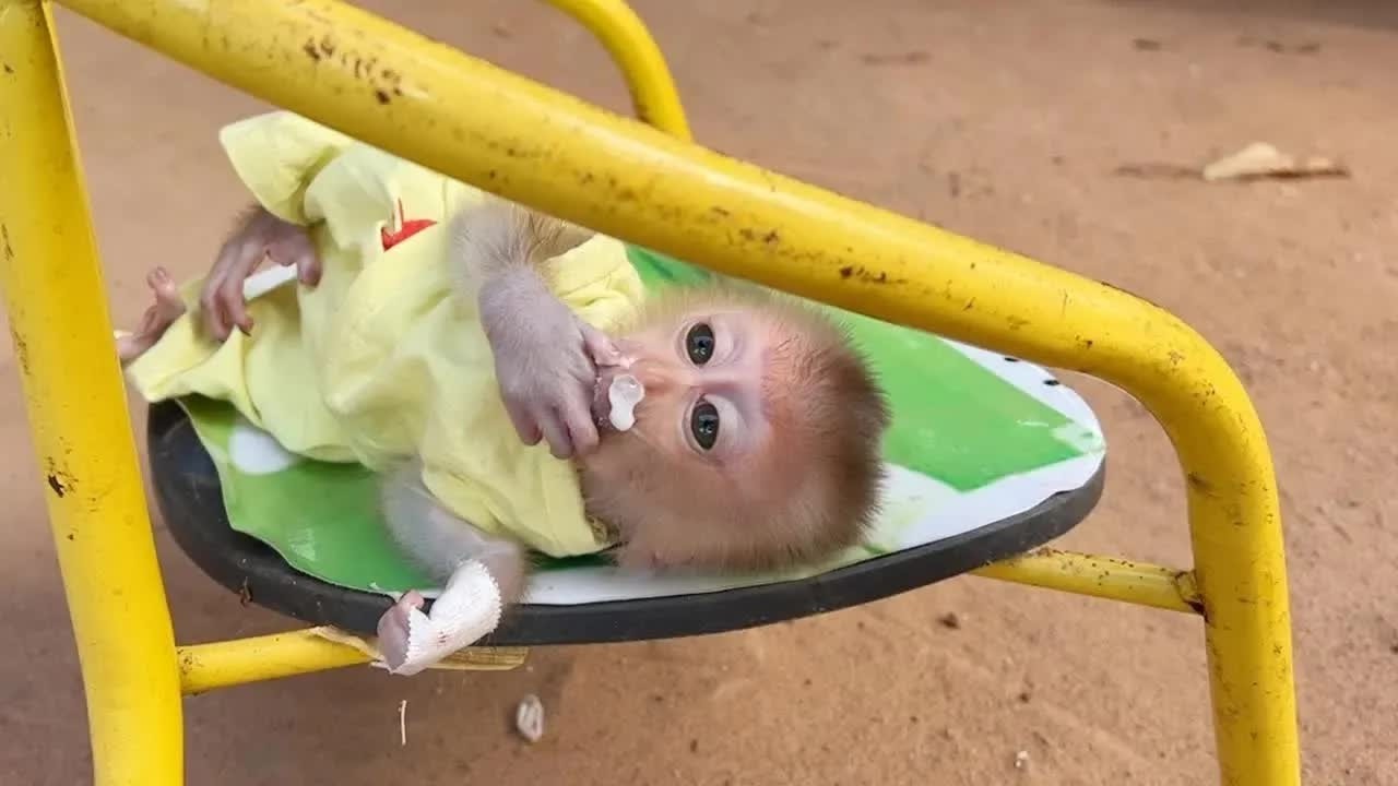 Baby Mato Keep Sucking His Finger On Chair Never Want Hangout