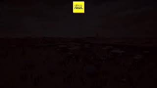 Africanews français en direct - Info et actualités en continu
