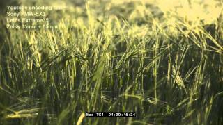 Youtube encoding TEST - Squeeze 8