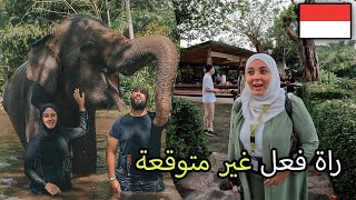 دخلنا أغرب حديقة حيوانات في العالم حدث شيء لا يصدق 😱 بالي إندونيسيا