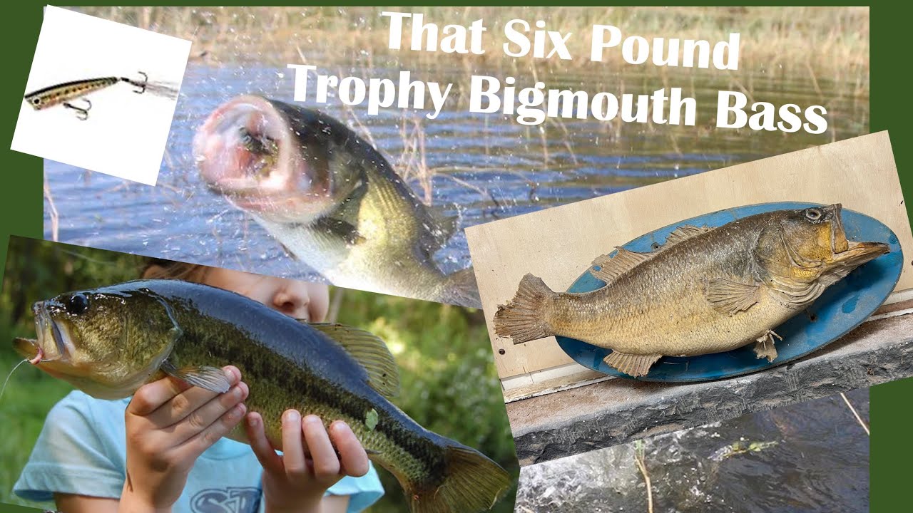 That Six-Pound Trophy Bigmouth Bass 