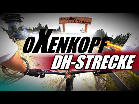 DOWNHILL STRECKE - BLACK OX DOWN☝️ BIKEPARK OCHSENKOPF🚀 REOPENIG 2026🔥