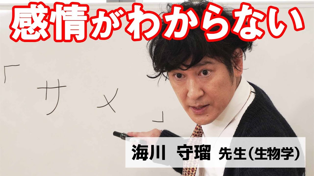 感情がわからない ココリコ Youtube