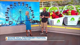 Lowcountry Strawberry Festival returns to Boone Hall