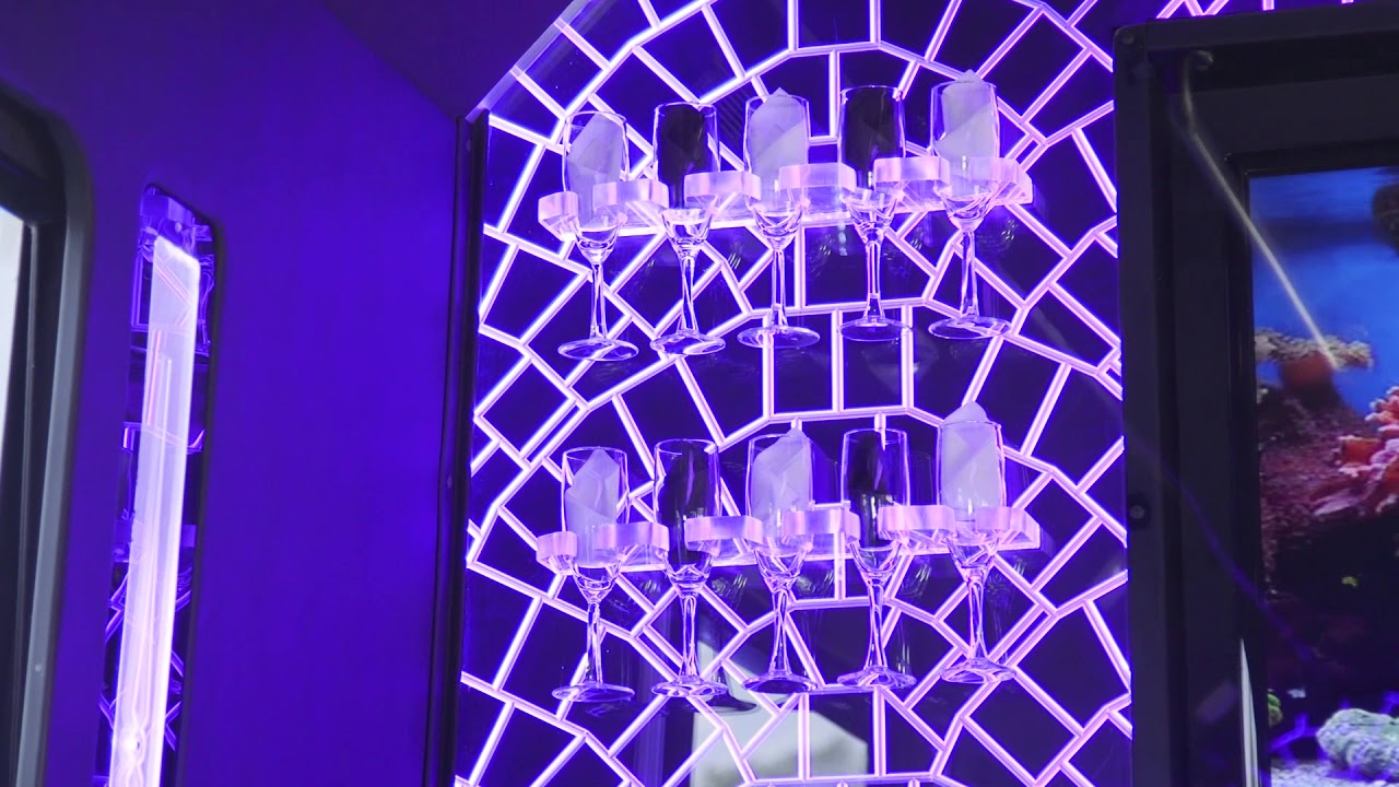 Cleveland Limo Service- 20 Person Party Bus