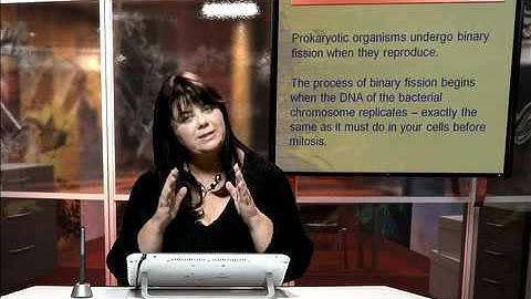 LS Lesson 6 Segment 2 SD Video Sharing copy