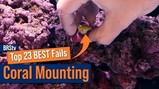 Adding New Corals To Your Reef Tank? Avoid These Mistakes At All Costs! screenshot 4