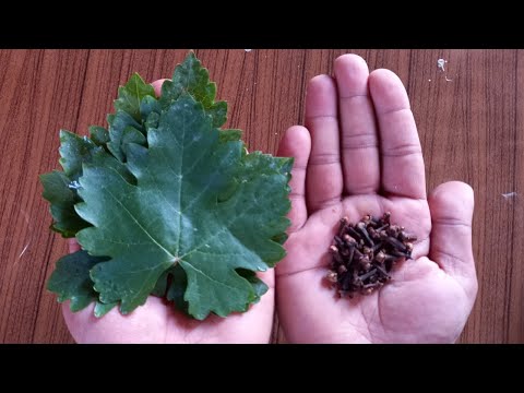 Mix Cloves With Grape leaves _ A Secret Nobody Will Never Tell You _ Thank Me Later