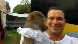 Comedia: Monkey See Monkey do