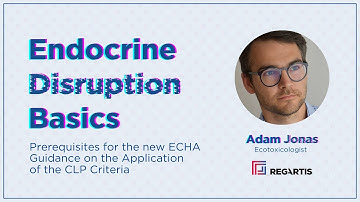 (WEBINAR) Endocrine Disruption Basics: Prerequisites for the New ECHA Guidance