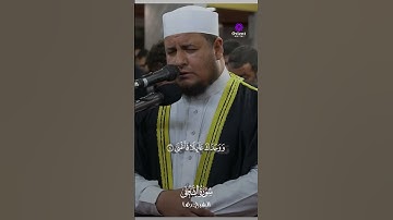 🌅 سورة الضحى كاملة – بصوت الشيخ رضا سعد #القرآن_الكريم #سورة_الضحي #رضا_سعد #تلاوة_خاشعة