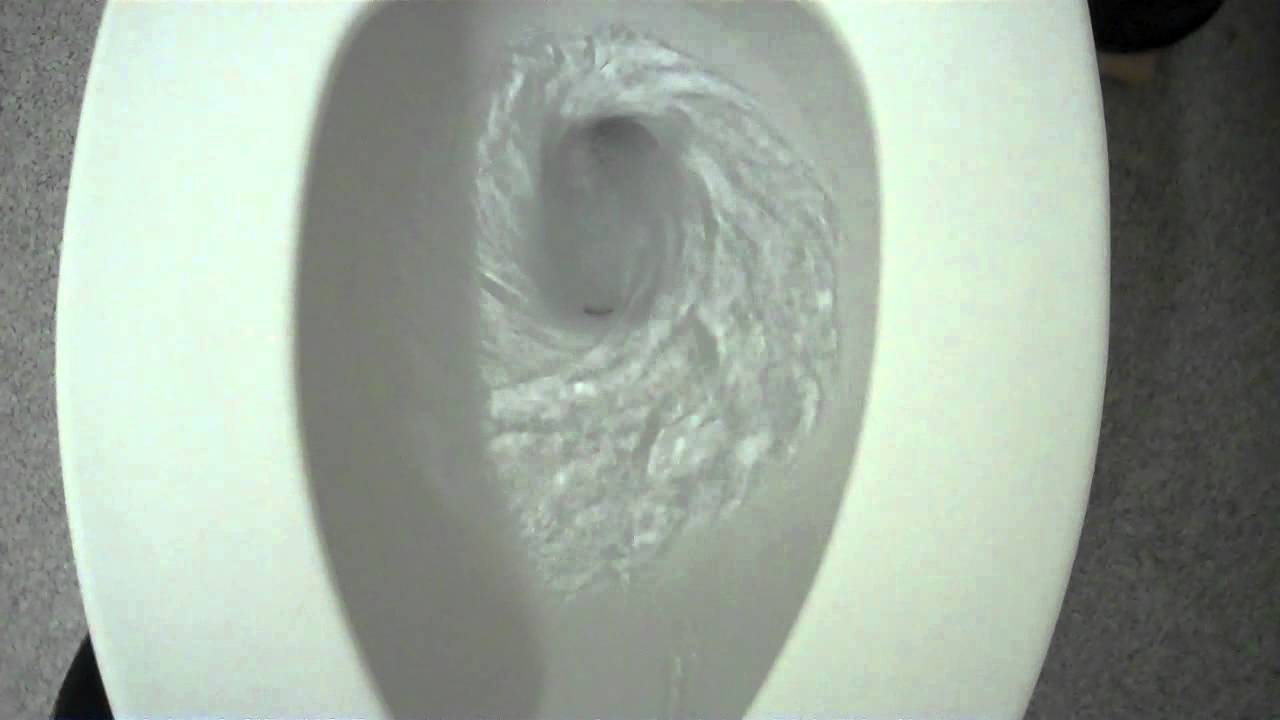 Gerber Toilet at Dollar Tree YouTube