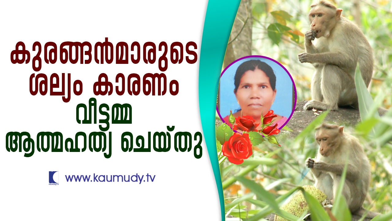 Fed up of crazy monkeys, housewife commits suicide | Secret File | Kaumudy TV