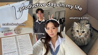 Productive days in my life | unboxing new macbook, adopting a kitten, lots of studying, work days