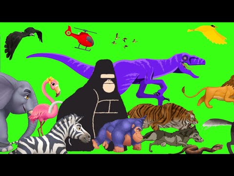 Animal stampede and deadpool | you never seen before | stampede green screen