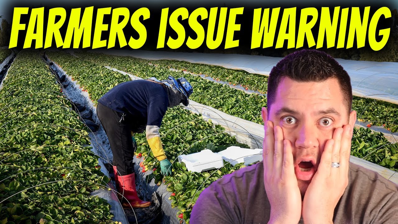 US Farmers WARN Of Coming Food SHORTAGE