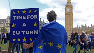 À Londres, des milliers de manifestants demandent le retour du Royaume-Uni dans l'UE • FRANCE 24