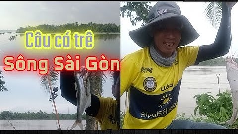 Câu Cá Trê|Sông Sài Gòn|@Lão Để TV....