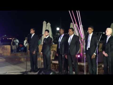 ماتحسبوش يا بنات إن الجواز راحة الفريق