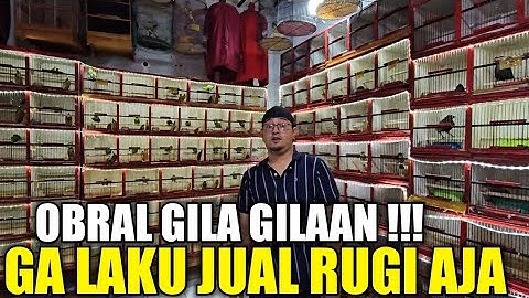 EDAN ! KIOS ALHAMDULILLAH LEBIH GILA !!! RATUSAN OMBYOKAN DIJUAL HABIS HABISAN HARI INI