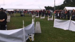 Gksk Cani-Ball Flyball Team Efc 2013