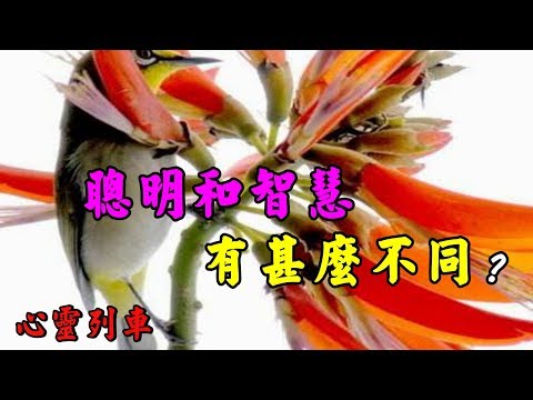 【心靈列車 】 聰明和智慧有甚麼不同：聰明就是你能回答學生的每一個問題；智慧則是你知道學生為甚麼要問你這樣的問題。