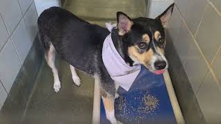 Acs A816544