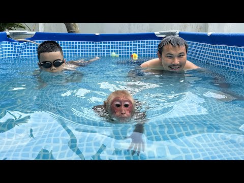 Fan Experiences Swimming Competition With Bibi!