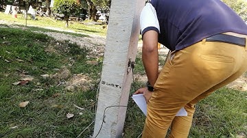 RSM-PDT(B) High-Strain Pile Bearing Tester Acquisition software on-site teaching