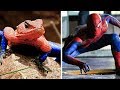 9 Animals With Spiderman Superpowers 🕷🕸