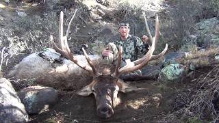 Ryan alltus and adam grenda head down to arizona on a november archery
elk hunt. after the rut, these bulls are no longer chasing cows, they
grazing ...