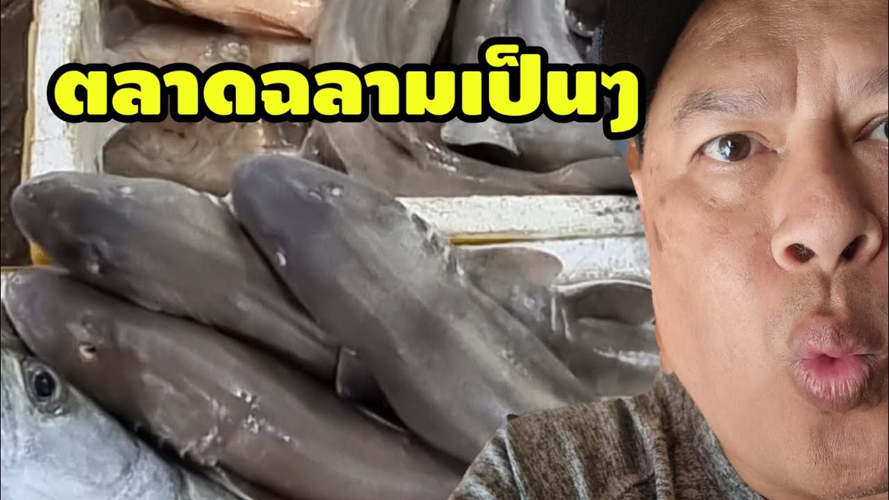 แบกเป้เขมรใต้ 25/41 : ตลาดปลา ตลาดสด ใหญ่ที่สุดในสีหนุวิลล์ กัมพูชา มีปลาฉลามเป็นๆ