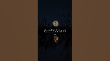 ويوم يعض الظالم على يديه/سورة الفرقان |القارئ عبد الرحمن مسعد