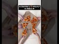 Is Domino&rsquo;s 🍕 HALAL in INDIA 🇮🇳?? #shorts #halalharam