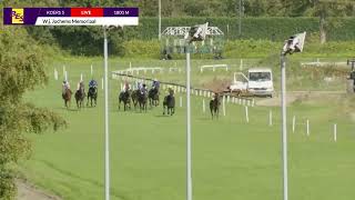 Vidéo de la course PMU W.J. JOCHEMS MEMORIAAL