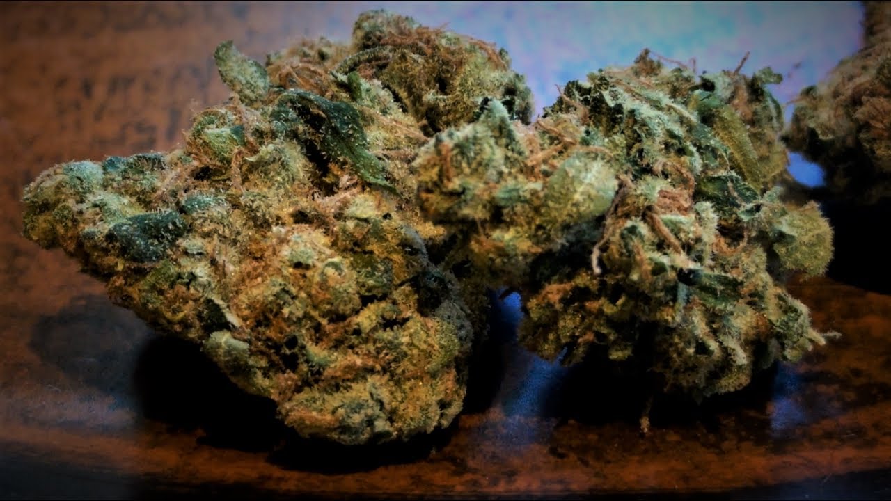 Sour Diesel Strain Review YouTube