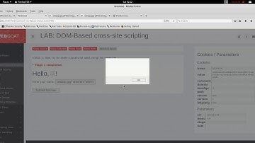 DOM based cross site scripting webgoat