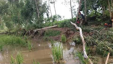 cưa cây ở lò rèn Dinh đức Quản Cơ trần VĂN Thành