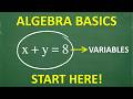 The BASICS of Algebra – Everyone Can Understand Algebra!