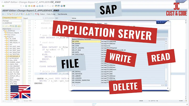 SAP Application Server - Write - Read - Delete File [english] - DayDayNews