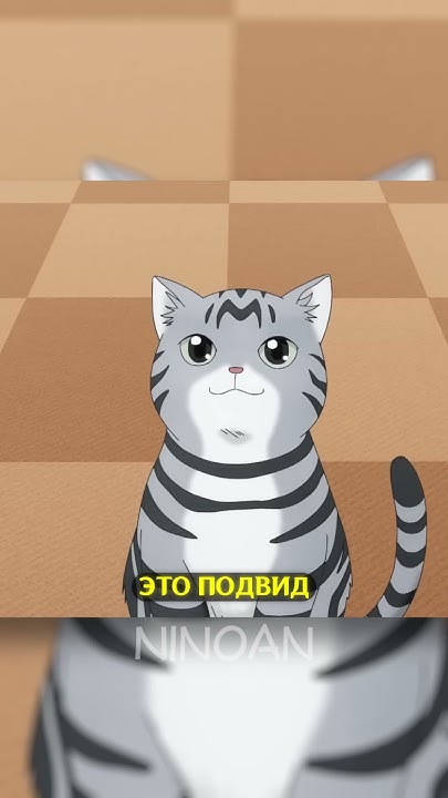 КОТИКИ В АНИМЕ, САМЫЕ МИЛЫЕ! / Слишком милый кризис #аниме #anime - YouTube