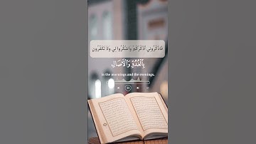 اكتب شيئ تؤجر عليه 🍀 #سورة #تلاوة_خاشعة #قرآن #اكسبلور