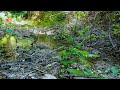 3 Hours Relaxing Waterfall Sounds and Singing Birds from Garda's Countryside | Natural Meditation