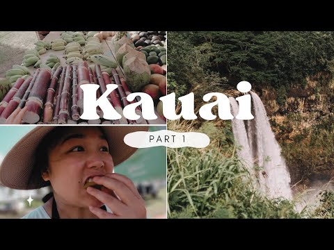 Video: Lời khuyên cho những du khách lần đầu đến Kauai, Hawaii